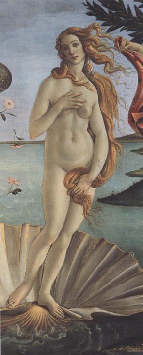 Sandro Botticelli The Birth of Venus (mk36)